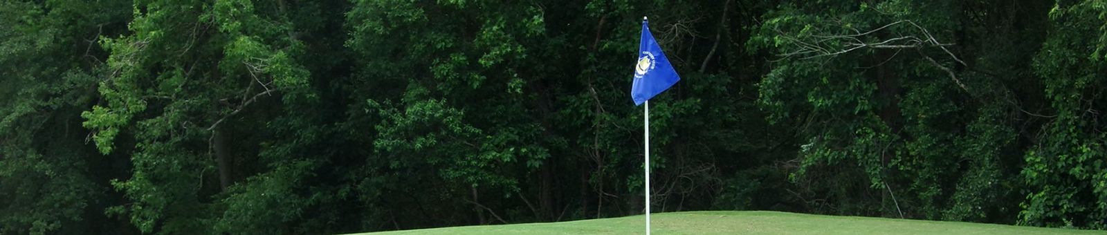 Blue flag on golf course