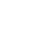 Whitescale Logo